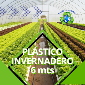 Plástico de invernadero de 6 mts de ancho x metro